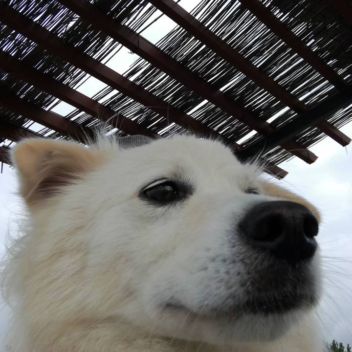 5634dc6f 6d47 4454 82e8 89555febb22e