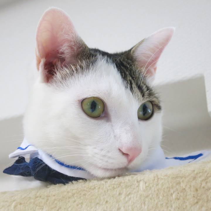 5634edab a965 437c 9378 d4a2f3ba26d9