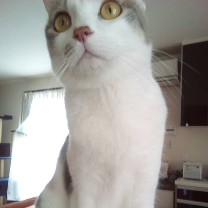 56359b6c 5712 46b6 a4d2 ea769aa30d1b