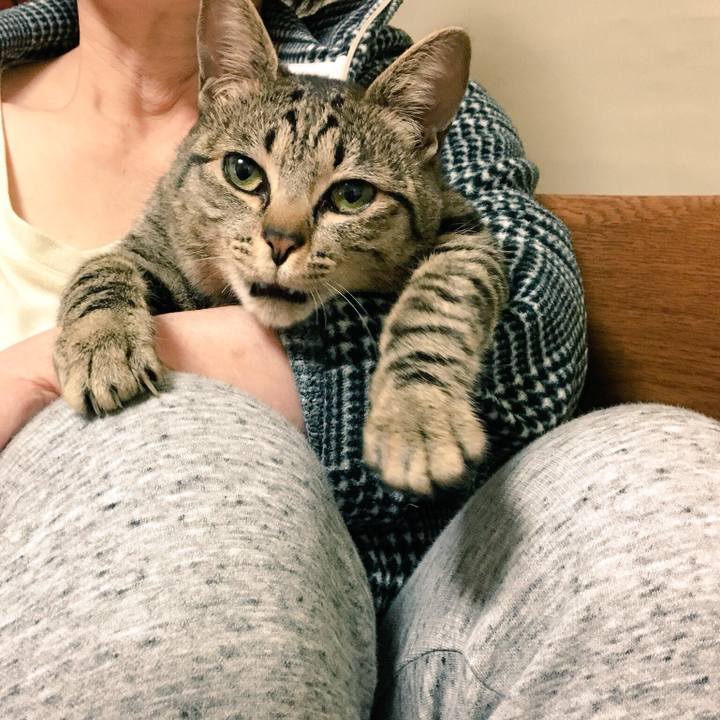 56367744 de6c 4337 9f12 b4fe21ee1674