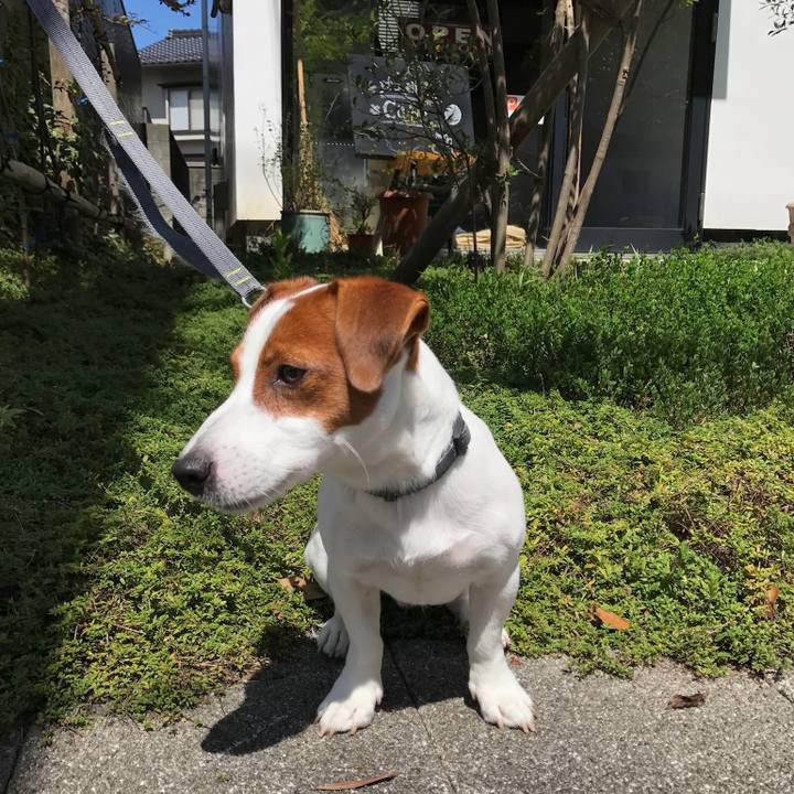 56369d09 28e5 4432 ad00 b1ba91212be5