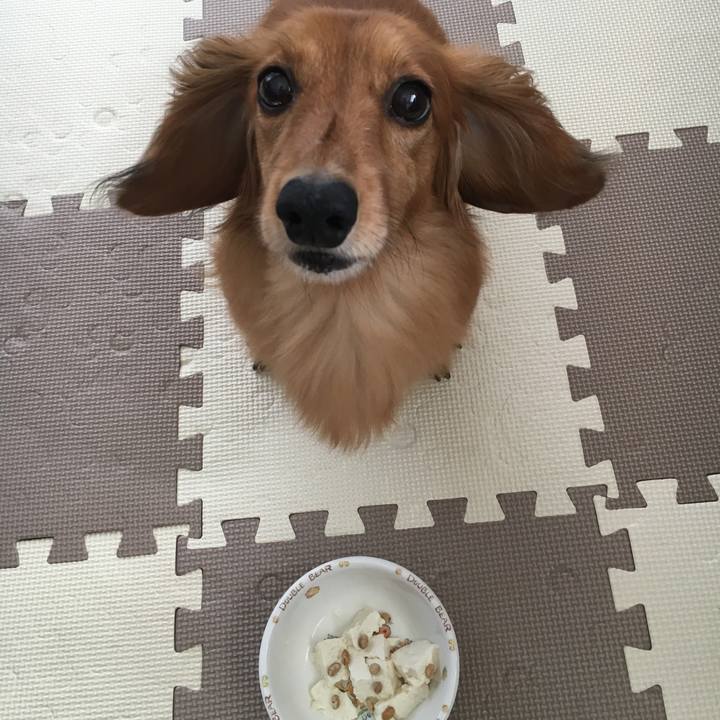 5636fd04 edb6 4fea 94bc 7332cc325e4e