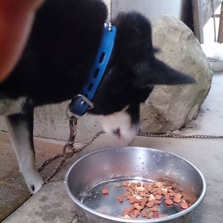 56372a55 5437 415a 99c0 4ac36fde9da5