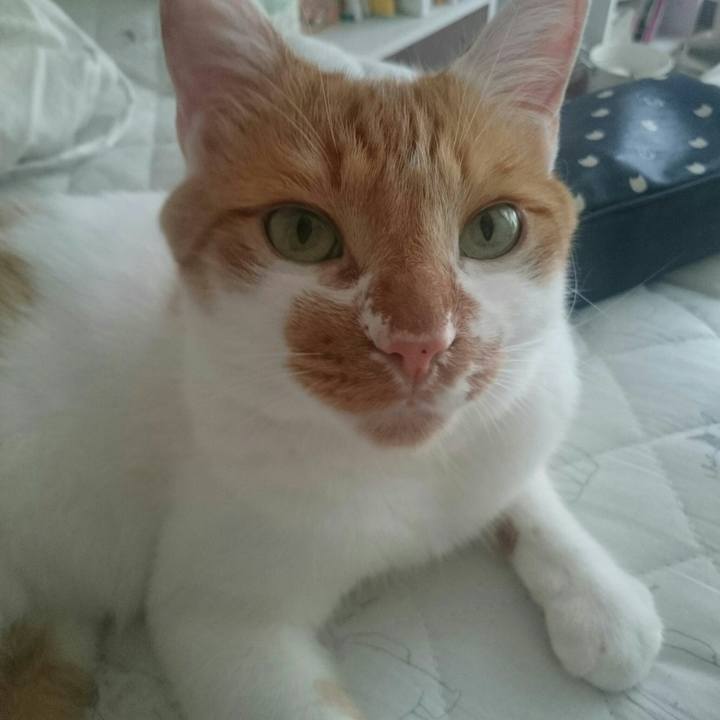 5637545c 213b 413f 8e43 aa65be7499cb