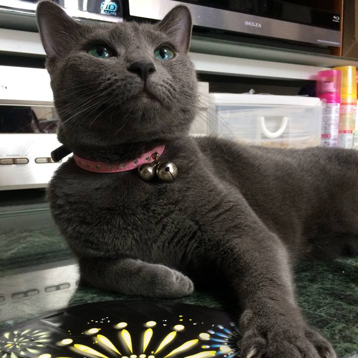 563919b4 c911 456b 840f 915d5b832391