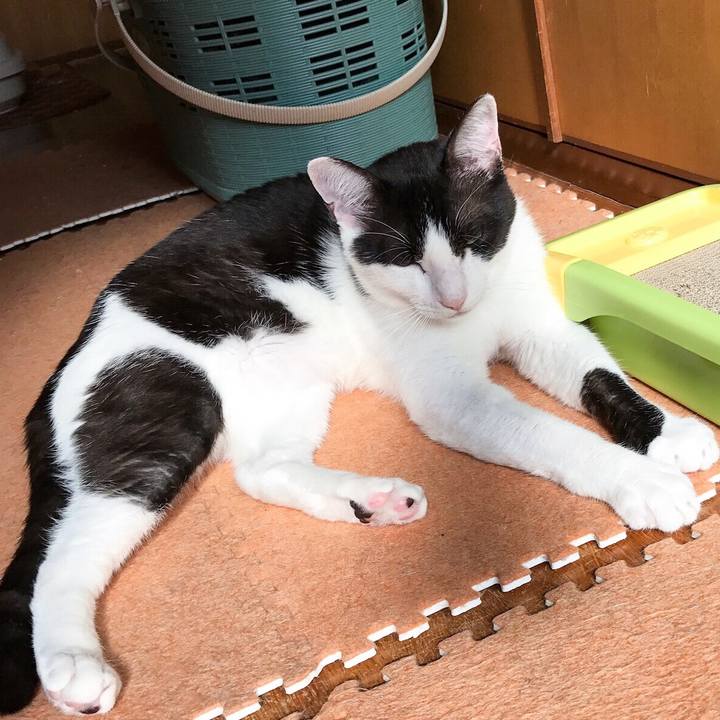 563920dc dbb7 4768 b707 ac194114a1a1