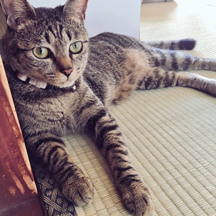 56394dd6 4e34 4fd8 8e6f 31b5ccc4a17b