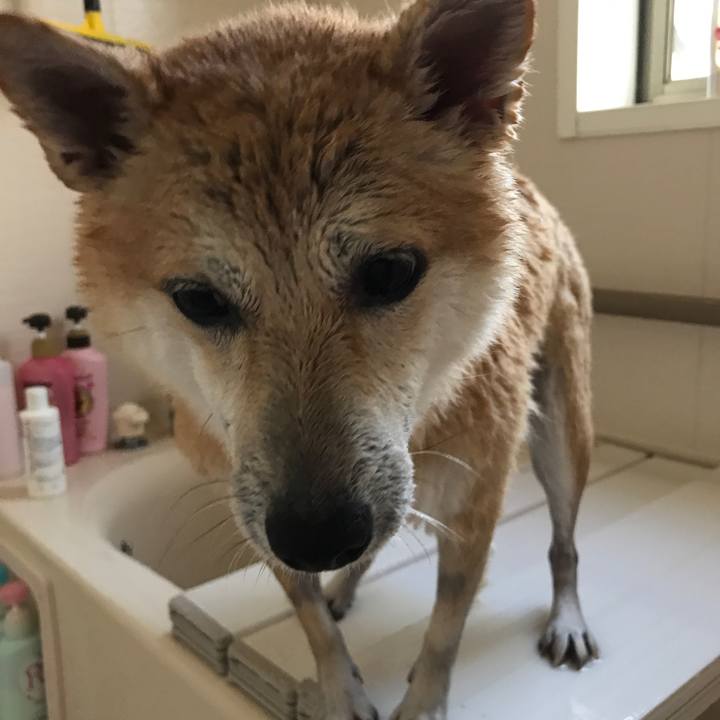 563ab5d9 b004 4f36 9547 1e0574e109ca