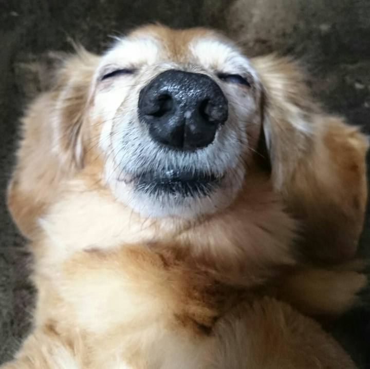 563adf7d 148a 435d 94d3 0d4853d29b0c