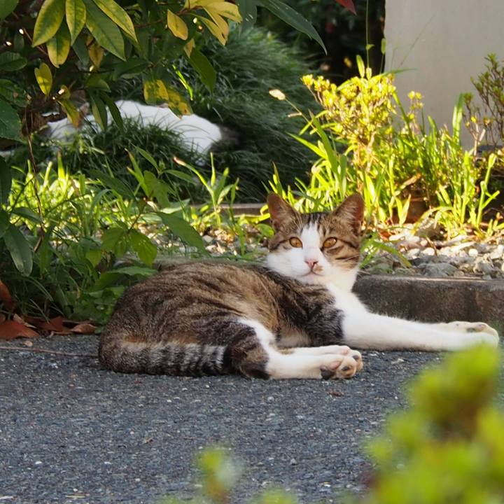 563aff97 5e0c 4748 a445 7615df1c7c71