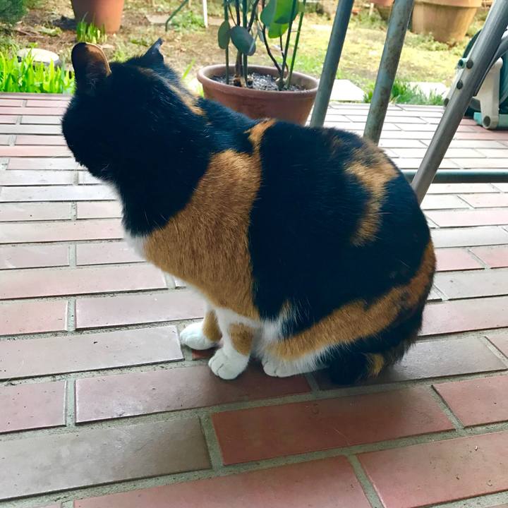 563c499b 0d28 40f0 b3e0 ed9a92b2d2aa