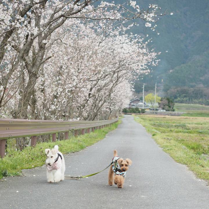 563ceb4c 22bf 449d b22e b6b4f982db43