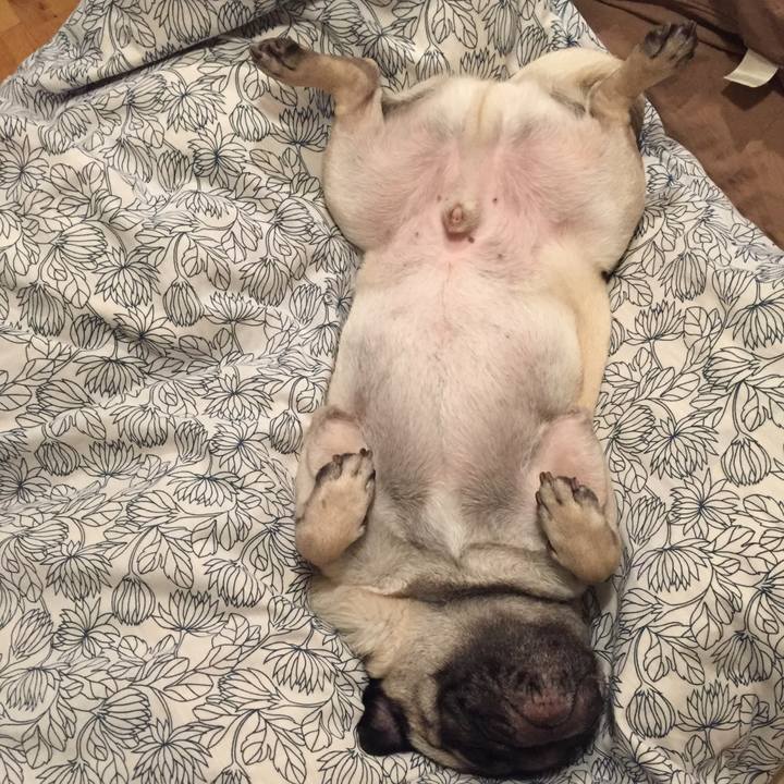 563dc8e0 5a32 4f1f 8b74 0ec575af587a