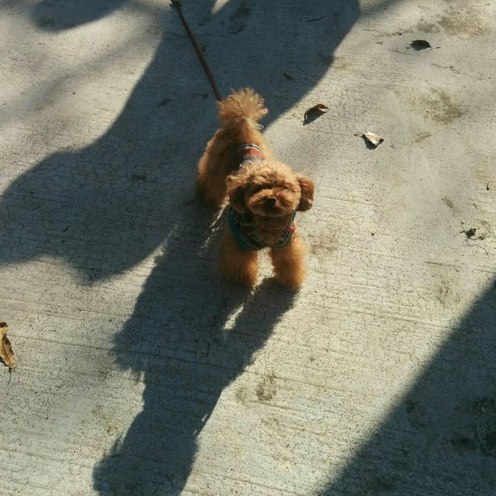 563eabd5 b2b3 4a65 8cc2 43b56aa6b847