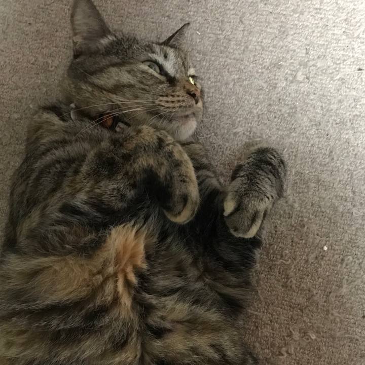 563eaf7a 5cd9 4adf 90b7 d9b7668b1e87