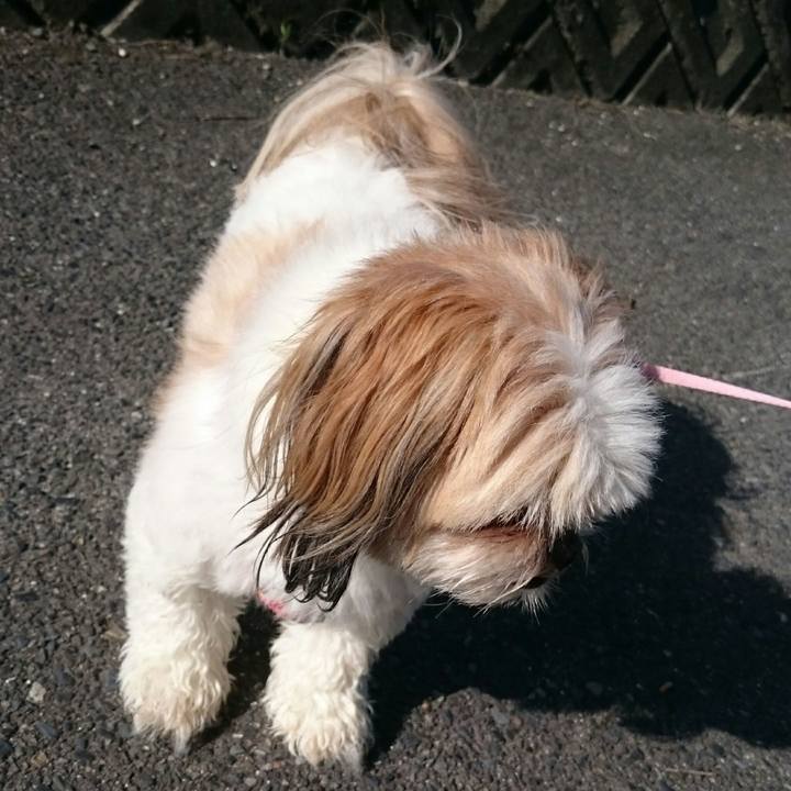 563ef862 f5ee 4d3e 8f7e bf234c04d65b