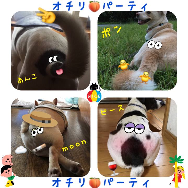 563efe21 c45a 40a8 8f78 9b81ab3decce