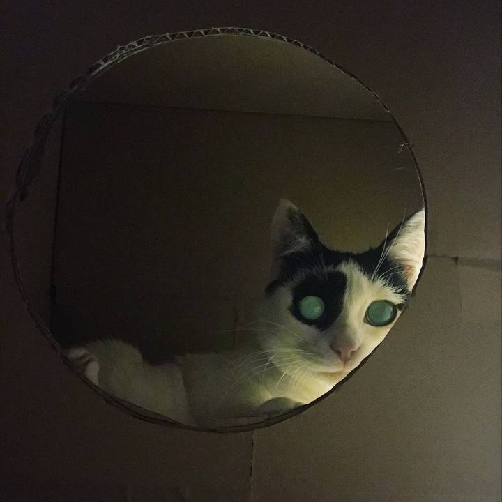 563ff7fe 0e4c 4898 83fd fb45ac2c718e