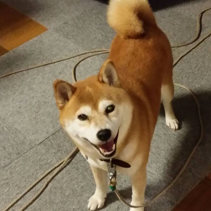 564007e0 d4cf 4a23 bd0d a4291cbd456b