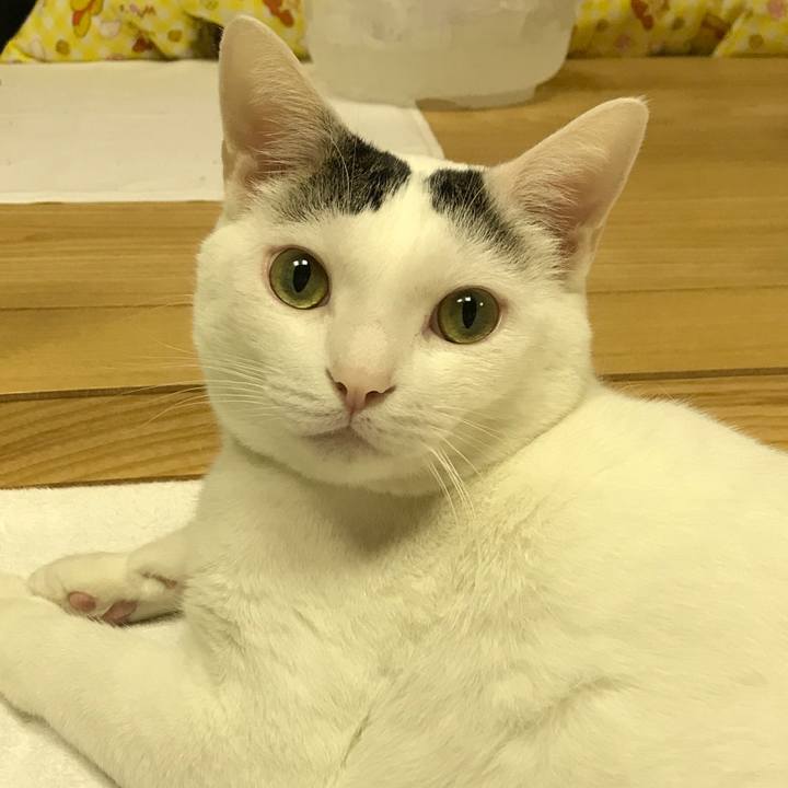 564044e1 35a5 4257 9e20 a66331467be0