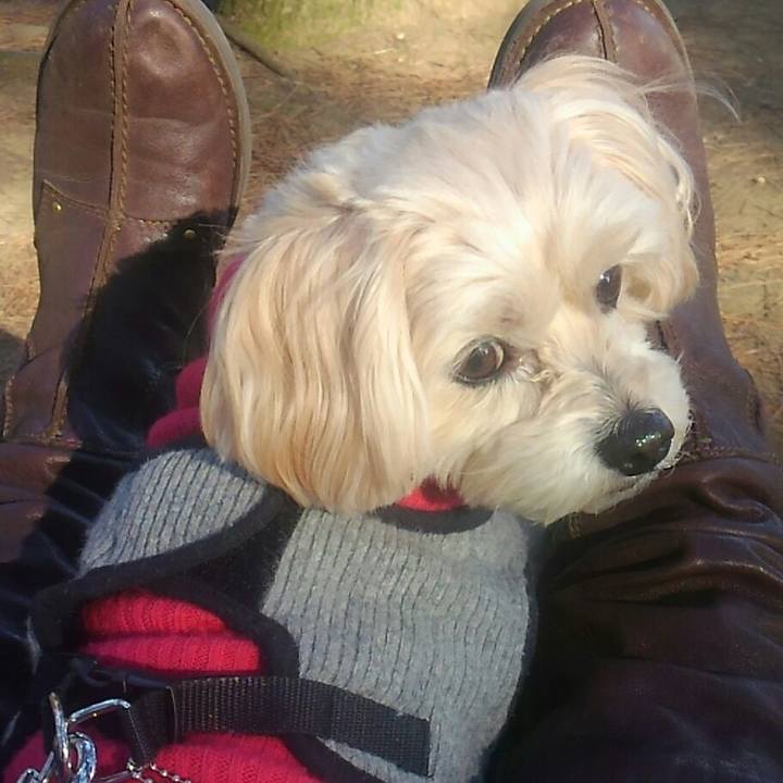 564060af c0d9 4295 a2a2 8dc019182472