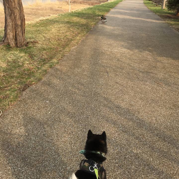 5640c81b 6e8b 46a1 bca0 b7506863082e