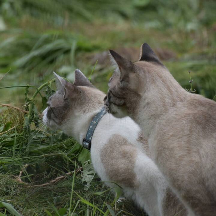 564128e0 cf5b 4f8e b37c 0574f3d040b0