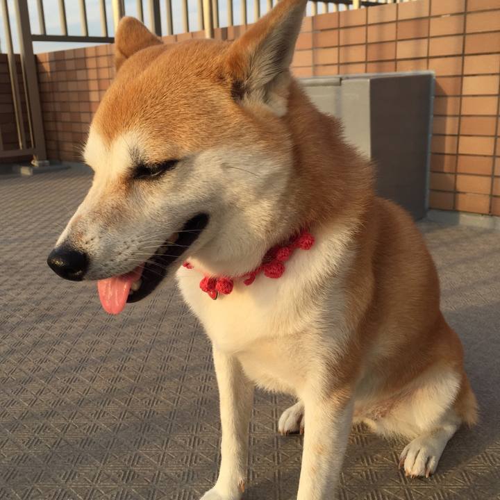 56419cab 6bdc 46d6 8e53 1fce11c0f9ab