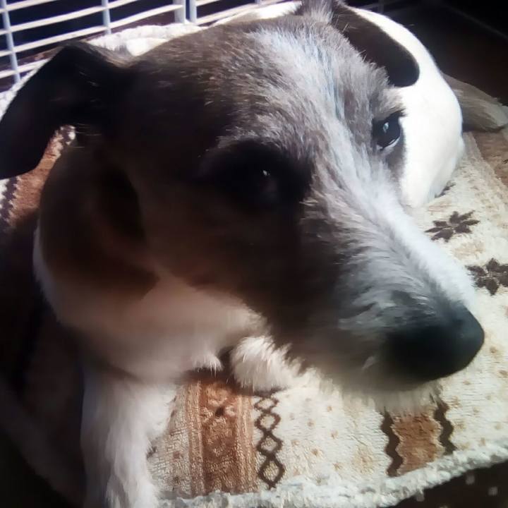 5641a23c b572 4835 9404 4a9f92fa2288