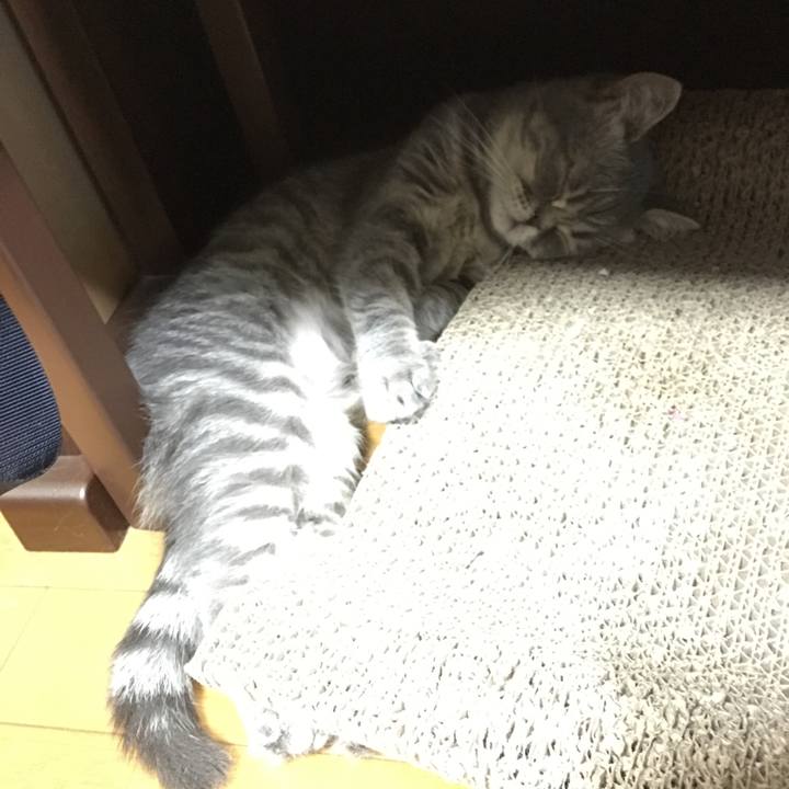 5642979e 84be 439e 9d95 379fd7878539