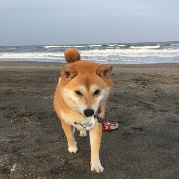 5642d94e f7d1 4a34 a474 999f80f85615