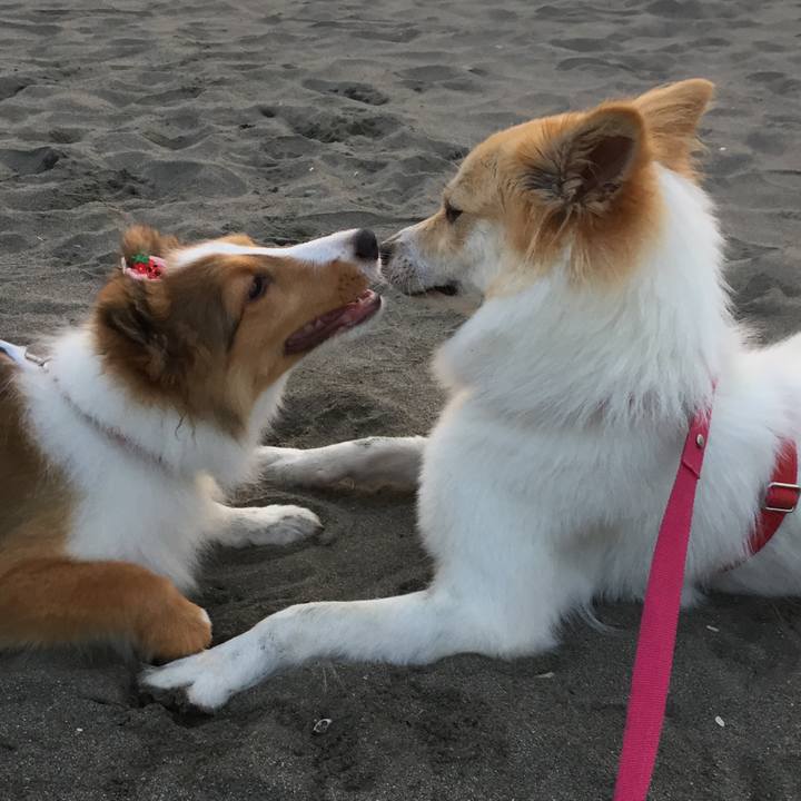 5642fb0c 3e97 4bc8 b33b 1c137c0035ed