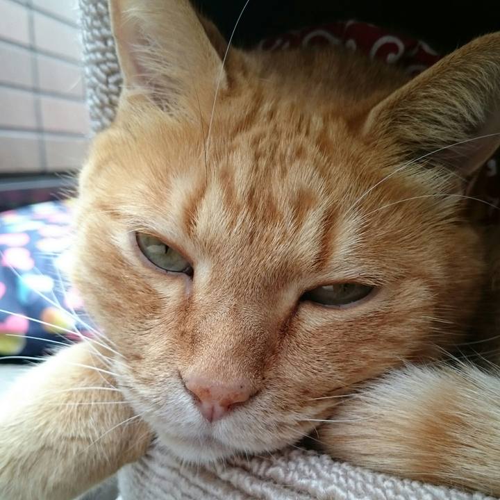 5643042b 79a9 442f 8c91 4240bc213177