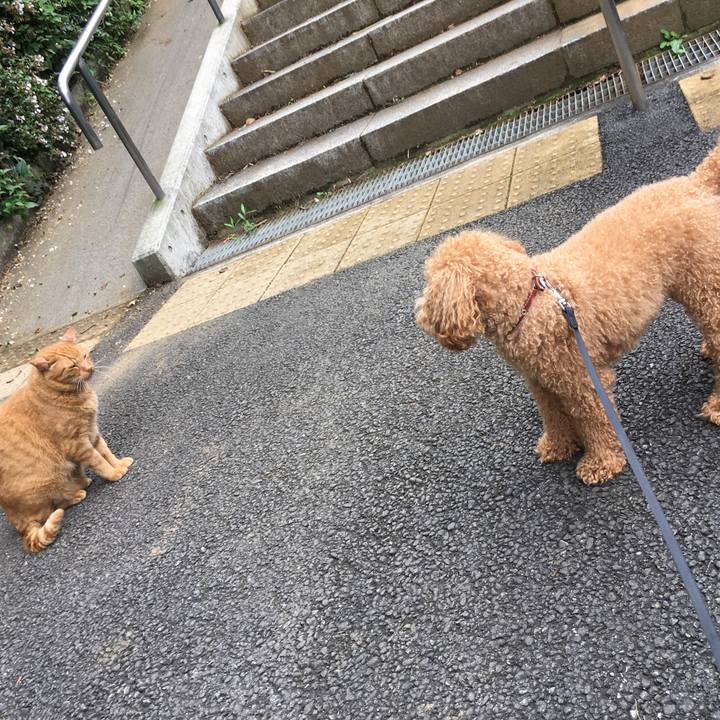 56430f77 901d 4c6e 88b6 657ecd5dfbdd