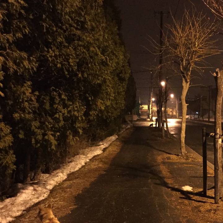 56432475 aa86 42bc 9cae 45aba10269e1