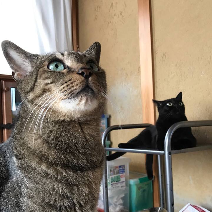 5643405d 3f65 4e3a 8757 693832832215