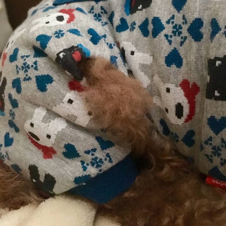 564349ea 3730 4ca2 b605 7676ea139558