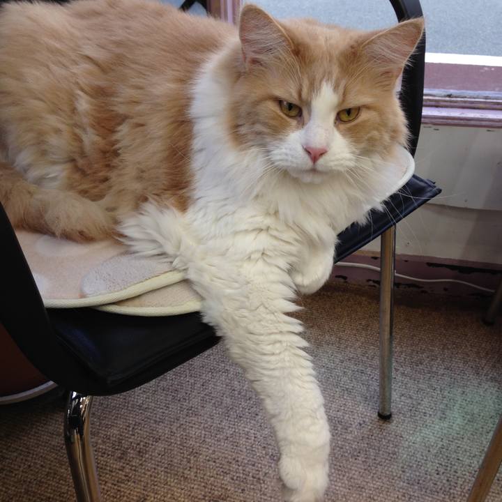 56436666 3af8 43a6 9612 daafcf7ebd55