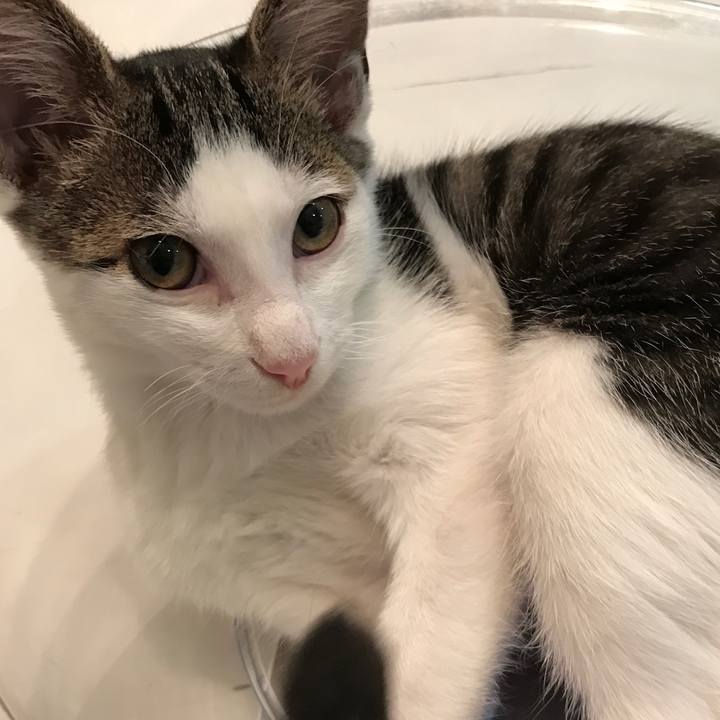 56445515 a11a 4b64 be23 eee5d73d9401