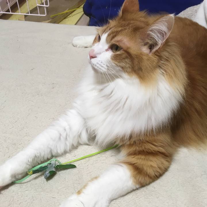 564461c3 58b0 466d 99c0 70a6980d5da5