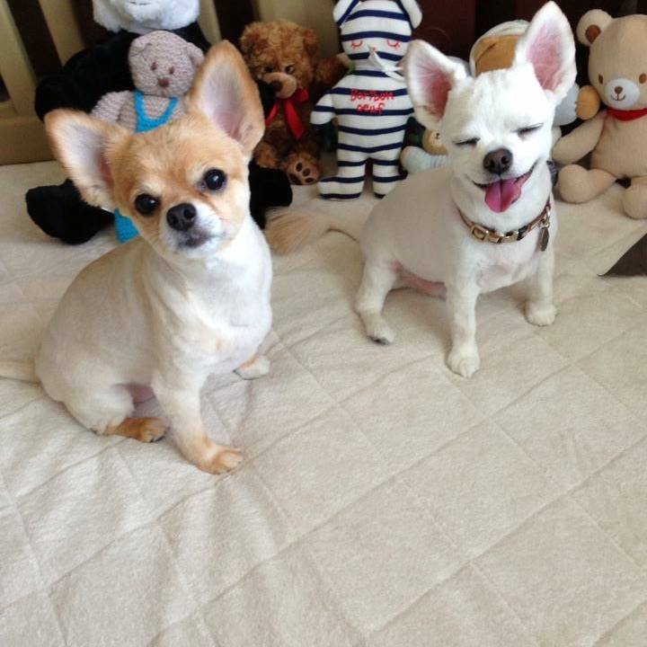 56446956 fa1d 4677 ba7d cef41e37aab7