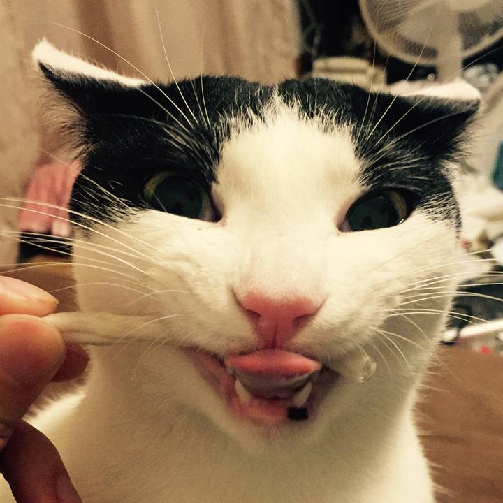 56446cf1 8b60 4b3b 98c3 0bab1fd55a3a