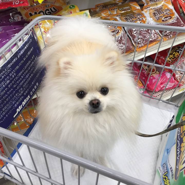 56464079 5058 4971 aeb1 d7512b9bc044