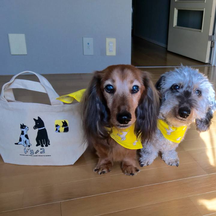 56468df6 0064 4644 aced 060e81819cfe