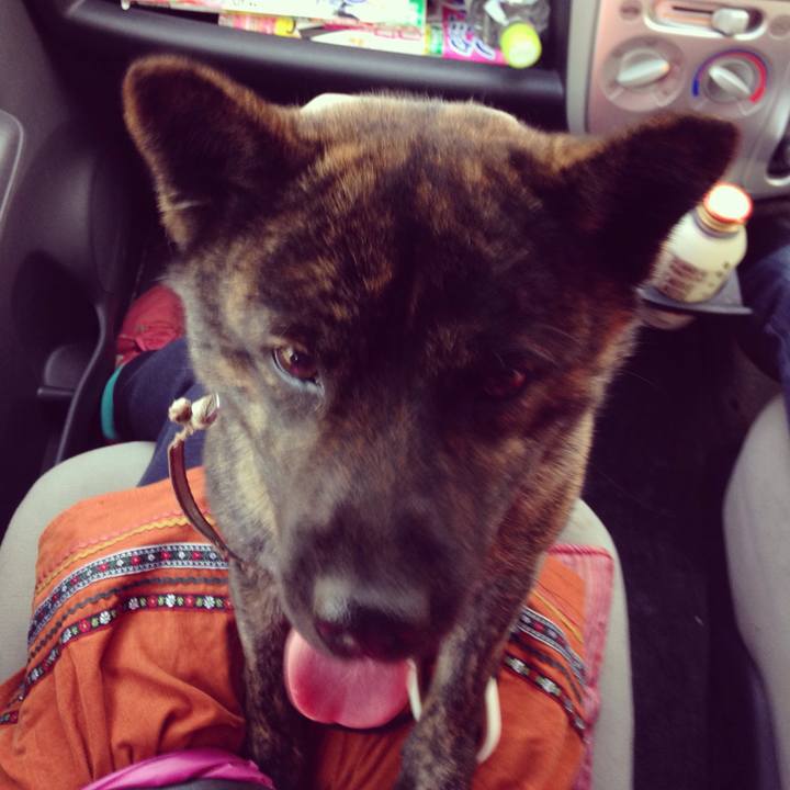 56468e89 a48c 4aa2 a6bc 65e3e77cd043