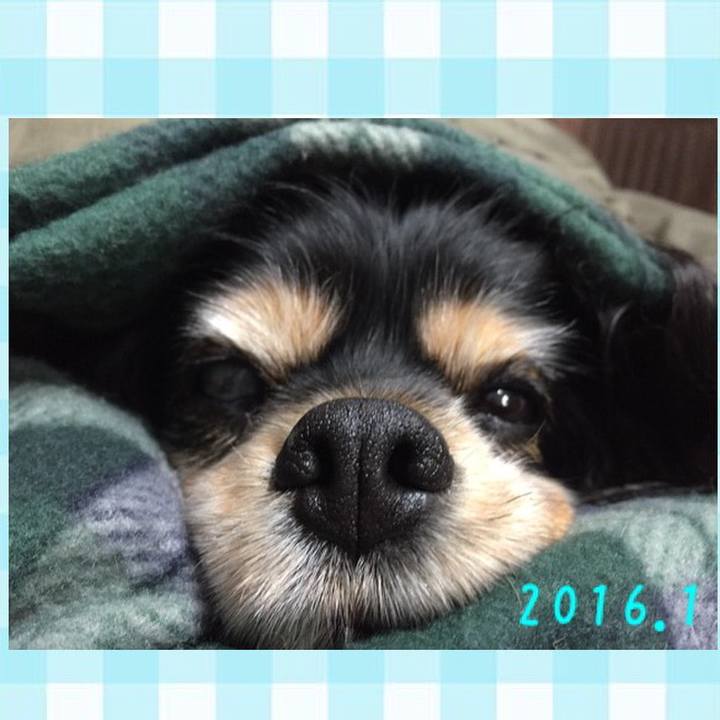 56469a07 3f09 40e9 8ed5 7c97bb43e2ce