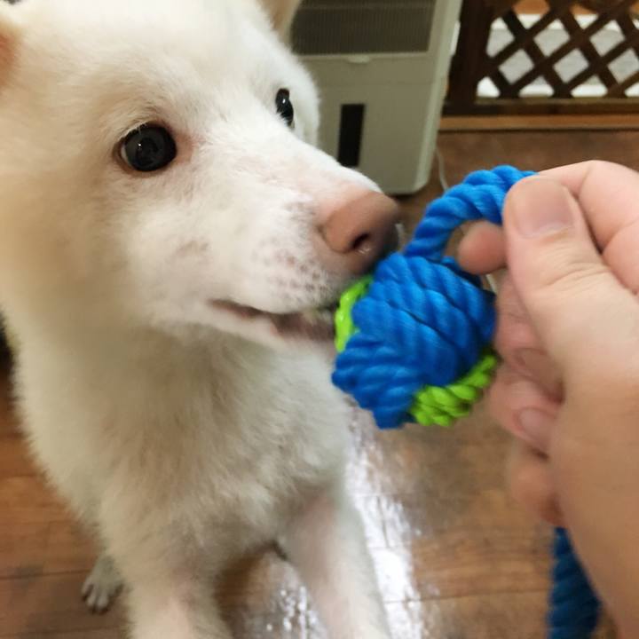 5646f4e2 2287 40b6 b1bb 7bb69562b77b