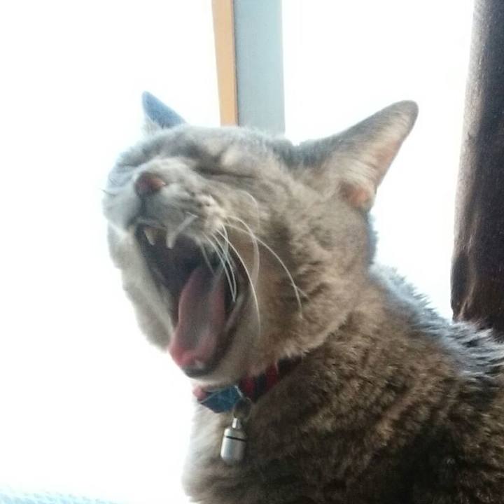 56471664 5356 478d bd6c 99f0730a4e3f