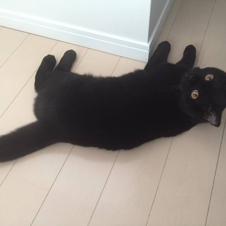 56474dbc be5f 498f 8a30 f6779b0ed679