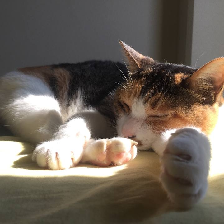 56475424 101d 4519 9da0 6502f5092cea